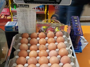  Satılık gezen tavuk yumurtası