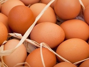  %100 organik gezen tavuk yumurtası