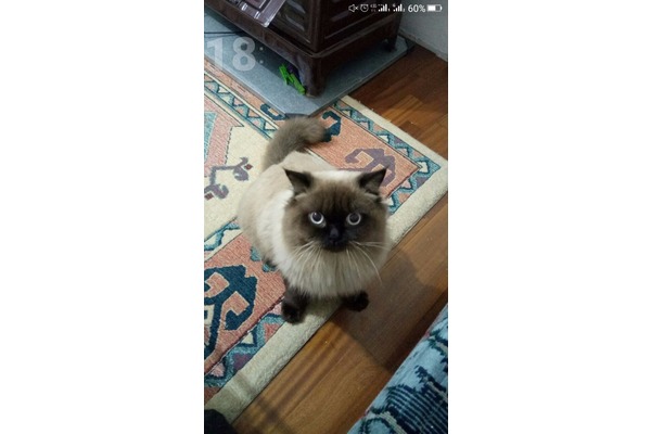 Birman 1 Kuzeyyaka Mah.