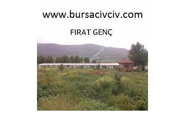 Fadıllı Köyü hayvanlar ilanı