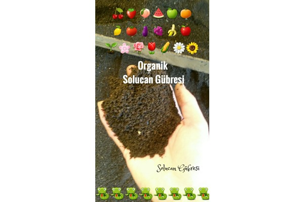 solucan ve solucan maması