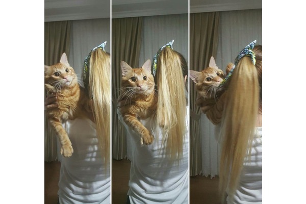 Vatan Mah. kedi ilanları