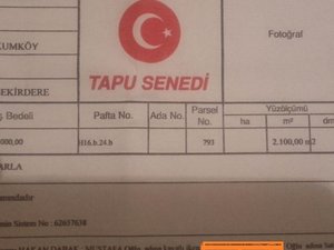  Satilık arsa Kumköy Köyü fiyatları