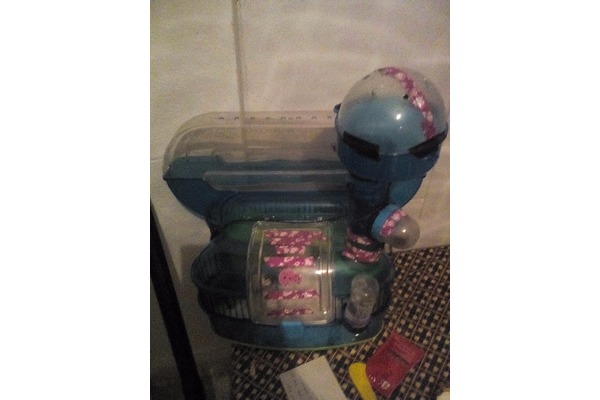Gonzales Dişi hamster
