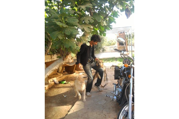 köpek gezdirme kadıköy eğitim bakım