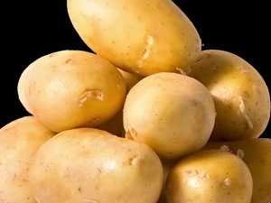 patates ekim Çöğender Köyü Alışverış ilanı