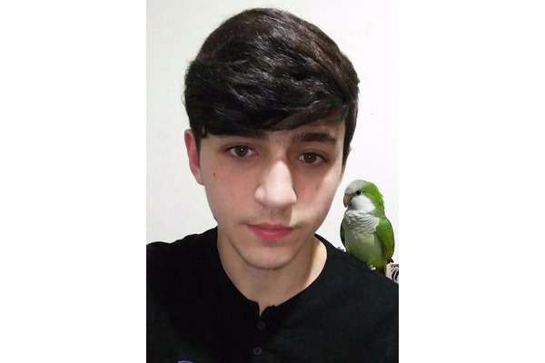 Diğer papağan 3-6 Aylık Koca Mustafa Paşa Mah.