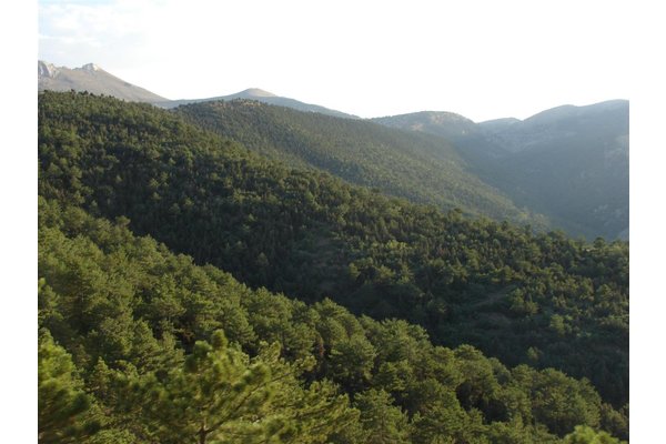 Sahibinden Satilık arsa Ulukışla