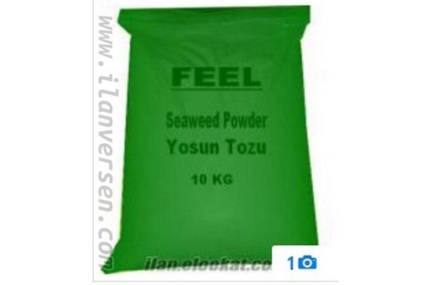TOPTAN YOSUN SATIŞI