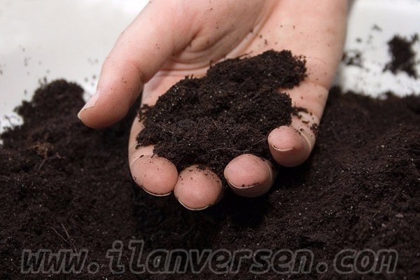 satıyorum Alışverış Mustafakemalpaşa