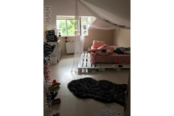 Sahibinden konut 800 TL