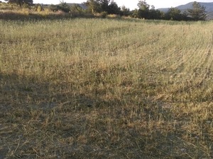 Satilık arsa Yelten Bld. fiyatları