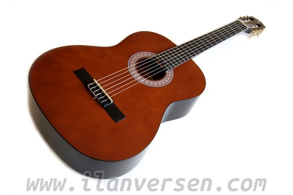 Aksaray ili Klasik Gitar dersi