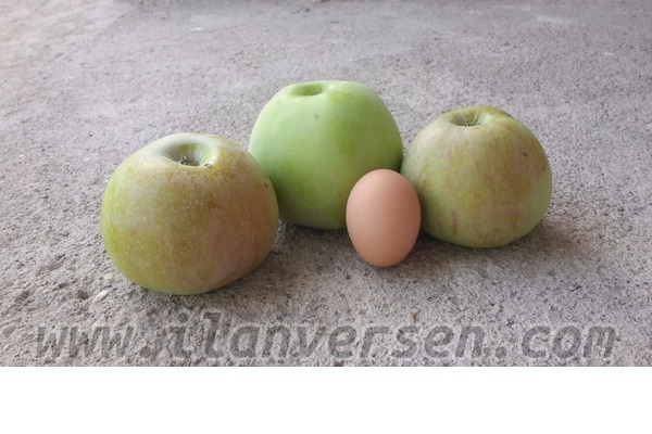 satıyorum Alışverış Elmadağ