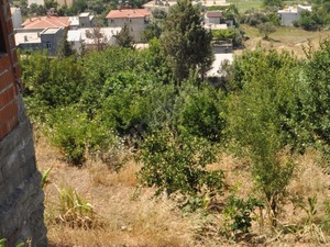  Yolu açılmamış arsalar Ulukapı Köyü