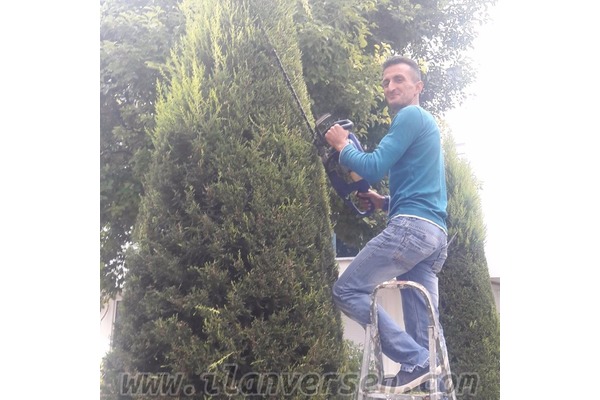 Peyzaj bizim işimiz