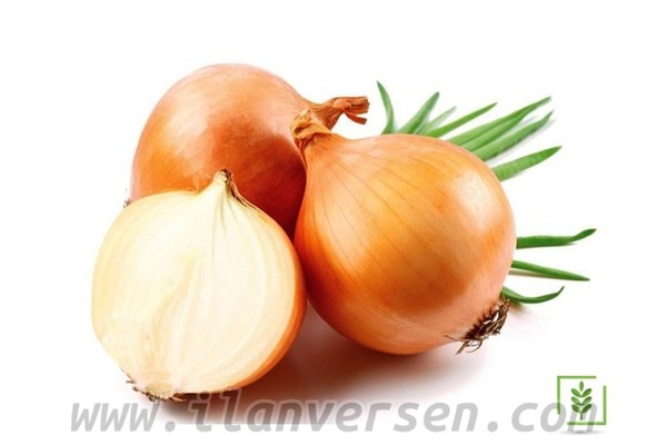 satıyorum Alışverış Merkez