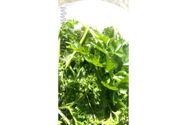 satıyorum Alışverış Merkez