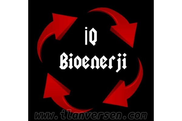iq bioenerji eğitimi