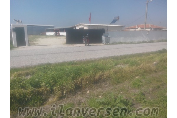 Kayışlar Köyü Çiftlik 10000 m²