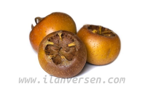 Doğu Mah. Alışverış ilanı