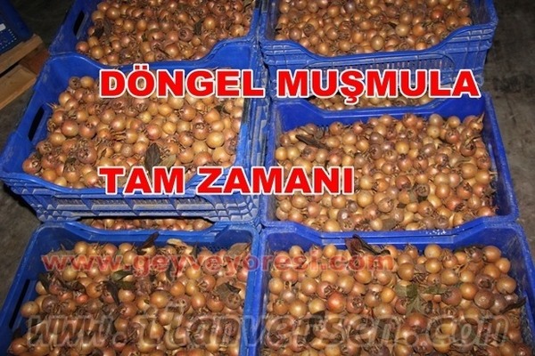 Doğu Mah. satlık Alışverış ilan ver