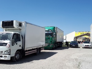 10 teker kamyon KİRALIK FRİGOLU KAMYON