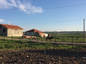 Arsa Şalgamlı Bld. satilık