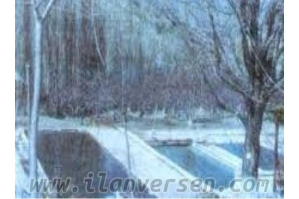 Yakaören Köyü hayvanlar ilanı ver