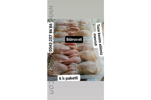 Esenyalı Mah. hayvanlar ilanı ver